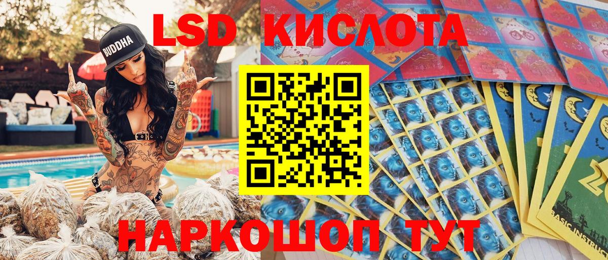 где можно купить наркотик  Марки N-bome 1,5мг  Вход с VPN  Котовск 