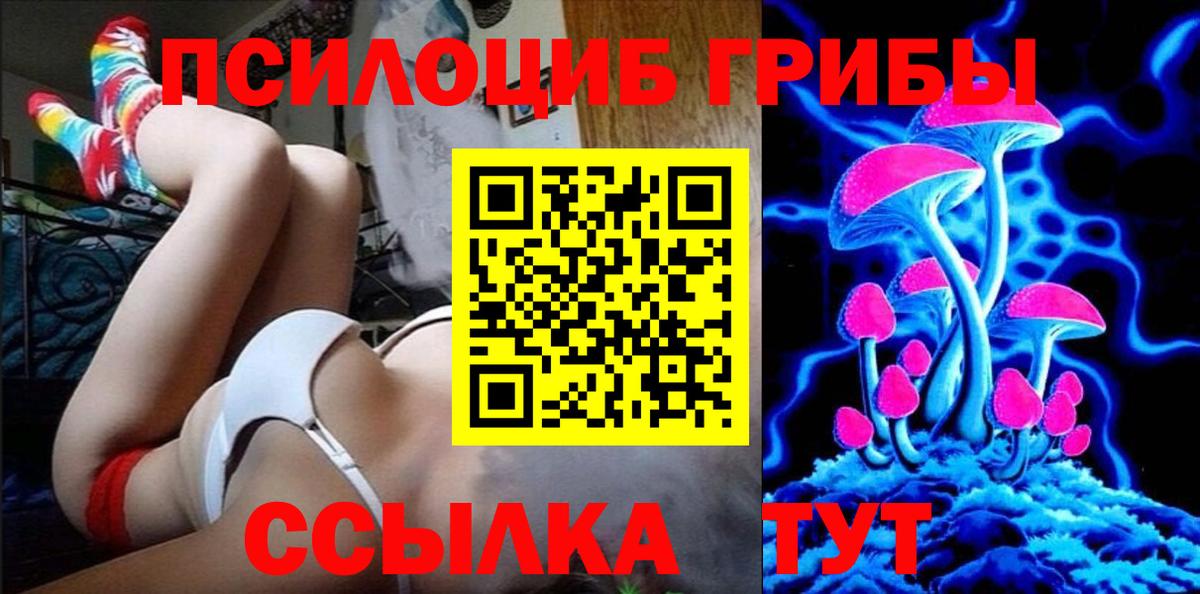 Псилоцибиновые грибы Psilocybine cubensis  Вход с VPN  Котовск 