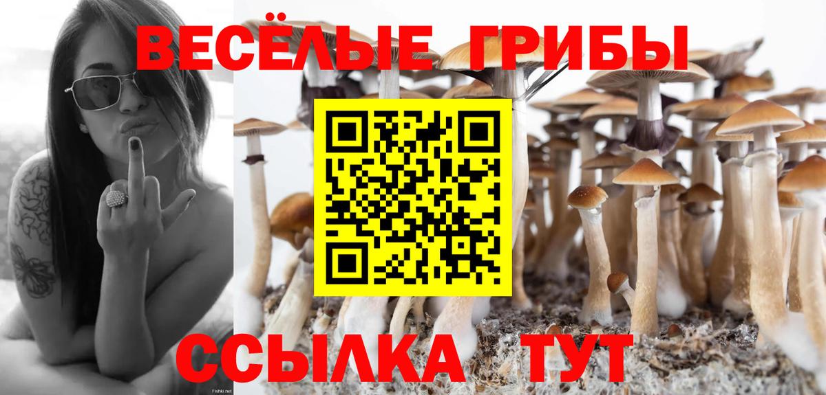 Галлюциногенные грибы GOLDEN TEACHER Котовск